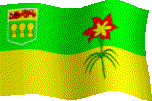 Sask Flag